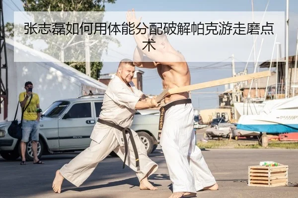 zhang-zhi-lei-ru-he-yong-ti-neng-fen-pei-po-jie-pa-ke-you-zou-mo-dian-shu-2-399.jpg